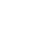 Chart Icon